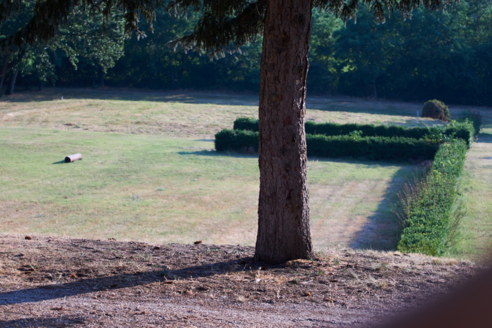 2021-07-07 17-31-55 (2)