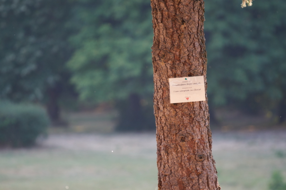 2021-07-07 17-32-12 (2)